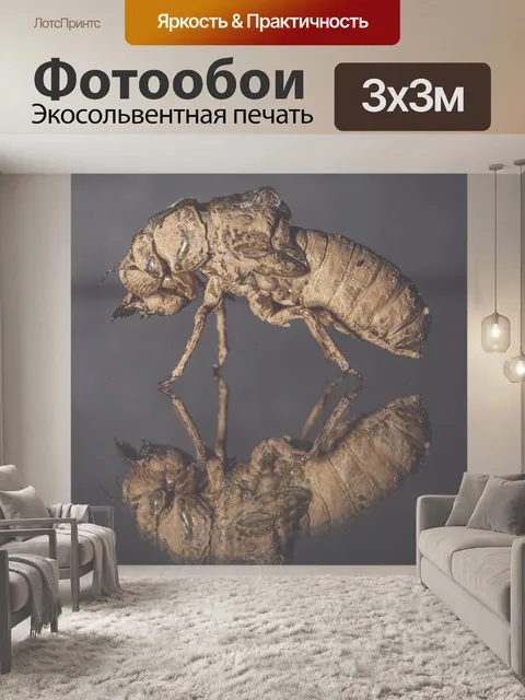 Фотообои Насекомое