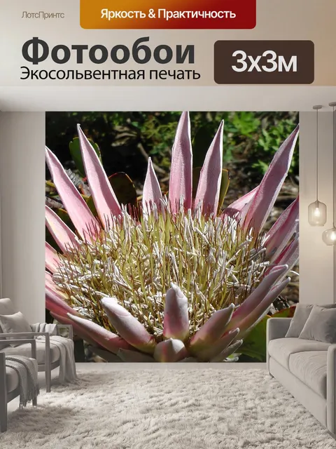 Фотообои Король протея