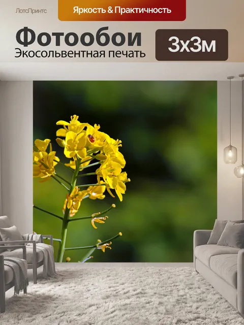 Фотообои желтый бок-чой цветы болты