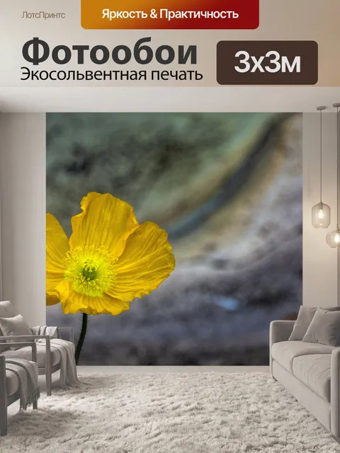 Фотообои Желтая Цинния