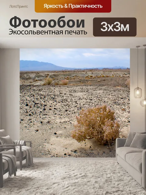 Фотообои Пустыня Мохаве Запустение
