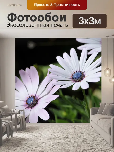 Фотообои Фиолетовые цветы