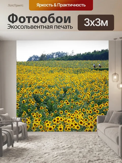 Фотообои Поле цветущих подсолнухов