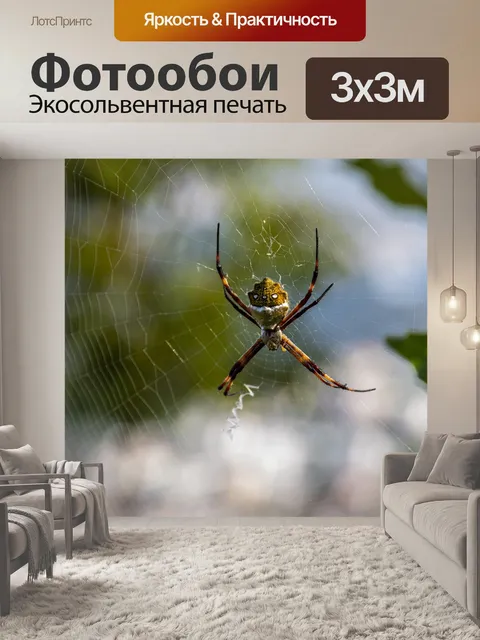 Фотообои Паук