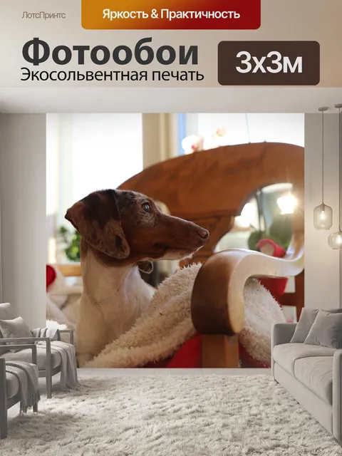 Фотообои Мило