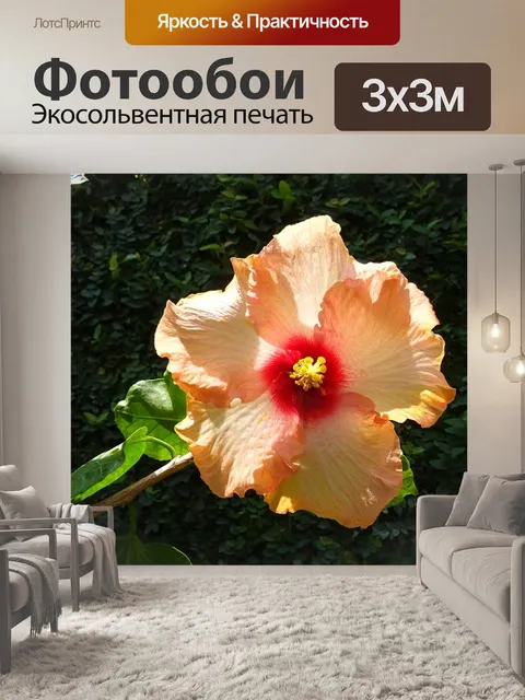 Фотообои Гибискус