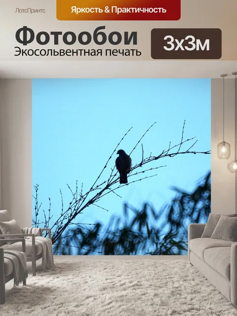 Фотообои Птица