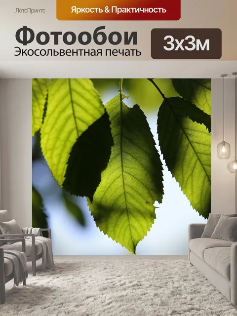 Фотообои Зеленые листья