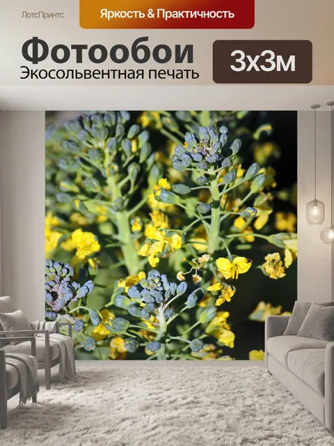 Фотообои ярко-желтые цветы брокколи