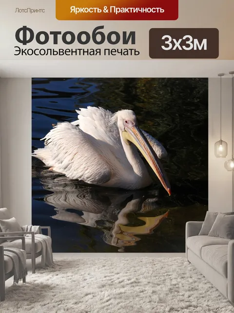 Фотообои Большой белый пеликан