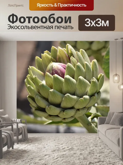 Фотообои Артишок на вине