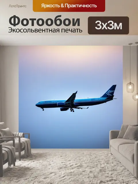Фотообои утреннее небо с самолетом в тумане