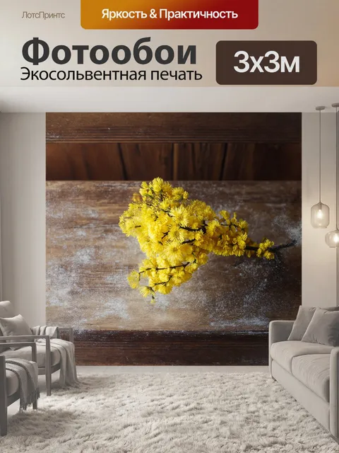 Фотообои мимоза, разветвлённая ветка с яркими жёлтыми пушистыми цветами, аккуратно расположена на старинном…