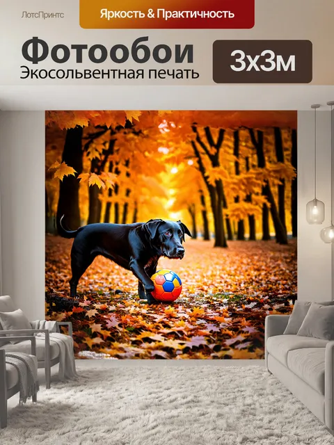 Фотообои черный лабрадор ретривер