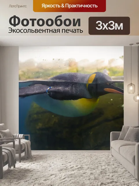 Фотообои императорский пингвин плавание