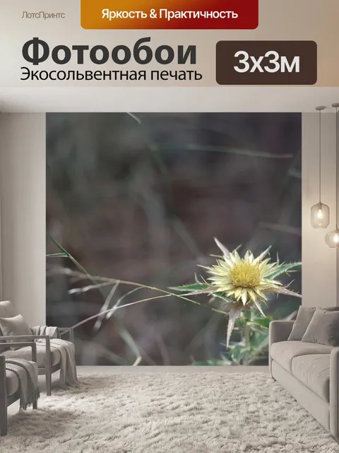 Фотообои Сухой