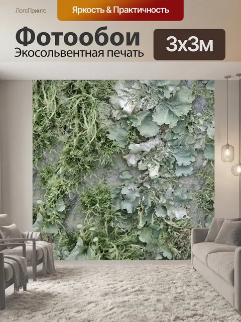Фотообои Грин Мосс лишайников