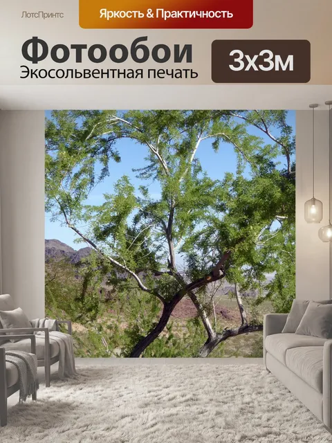 Фотообои Кисть для пустыни