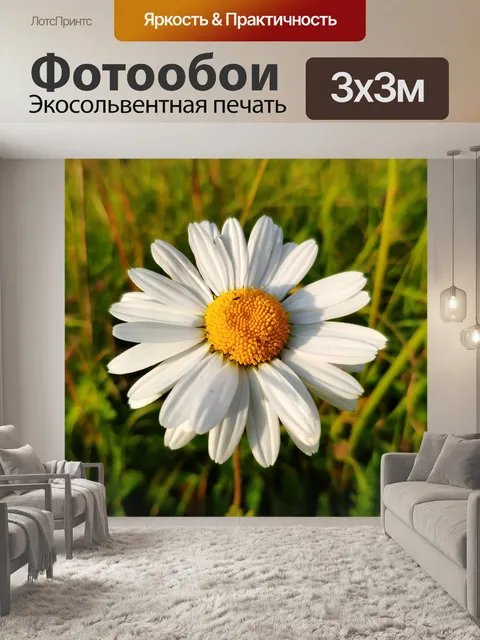 Фотообои Цветок