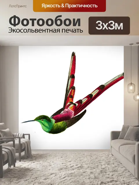 Фотообои Колибри птица старинное искусство