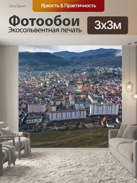 Фотообои Дрон