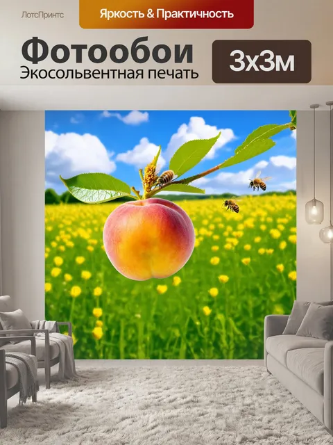 Фотообои абрикос на фоне зелёного луга