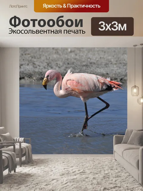 Фотообои Розовый фламинго