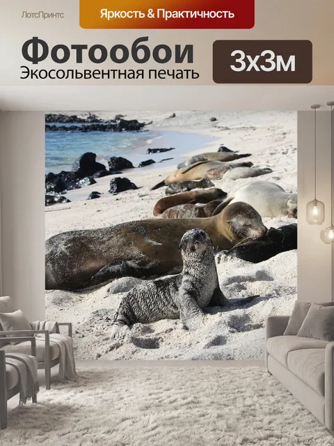 Фотообои Галапагосские острова