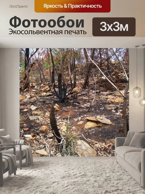 Фотообои черная лилия с длинным стеблем