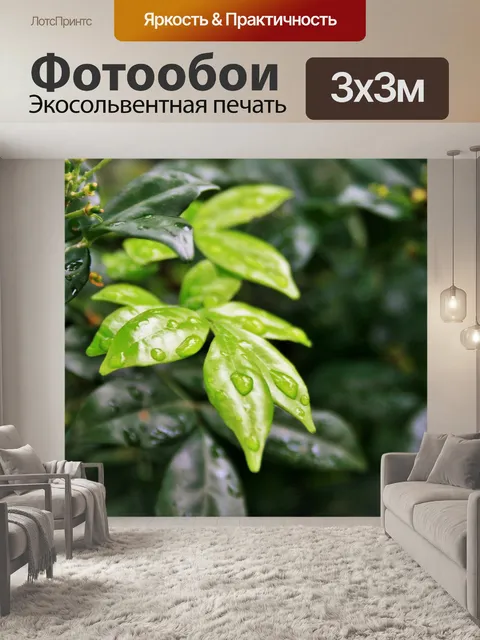 Фотообои молодые зеленые влажные листья экзотики