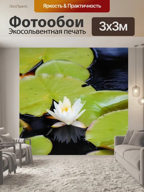 Фотообои Лили колодки