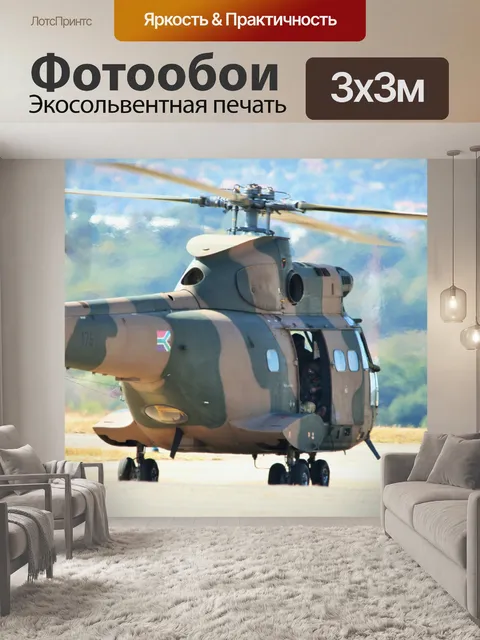 Фотообои ВВС ЮАР музей пума