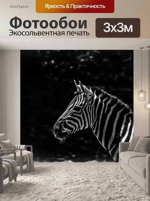 Фотообои Зебра