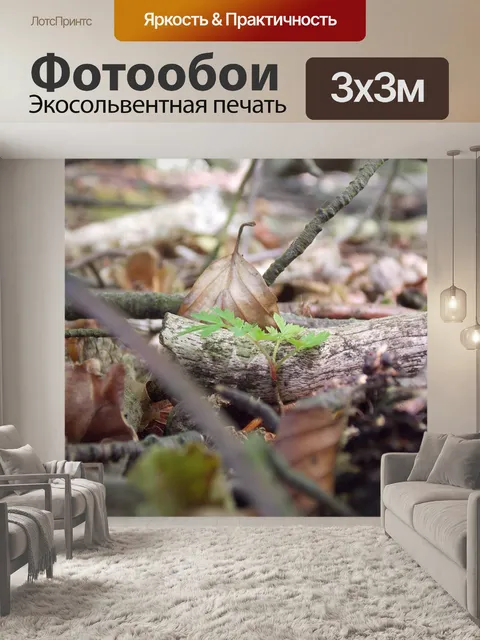 Фотообои Лист