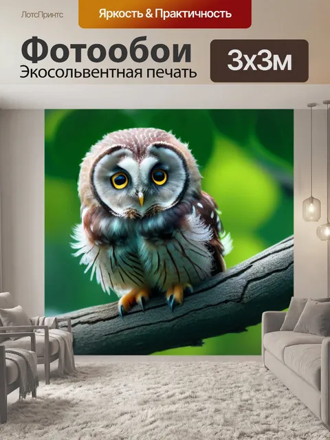 Фотообои совенок на ветке дерева