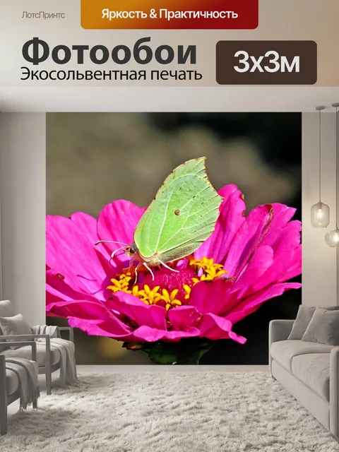 Фотообои Бабочка