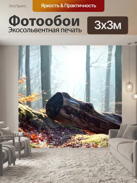 Фотообои Лес