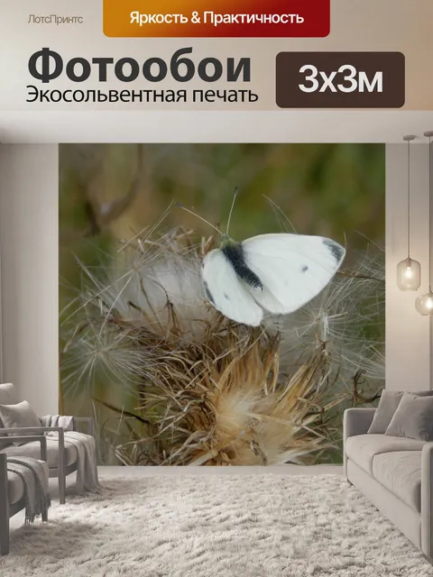 Фотообои Малый (Капуста) Белая бабочка