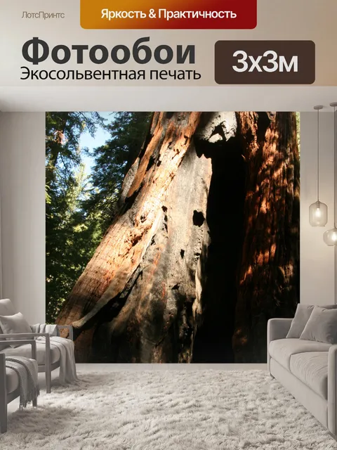 Фотообои Гигантские секвойи в Йосемити