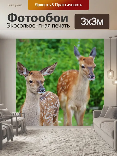 Фотообои Косуля