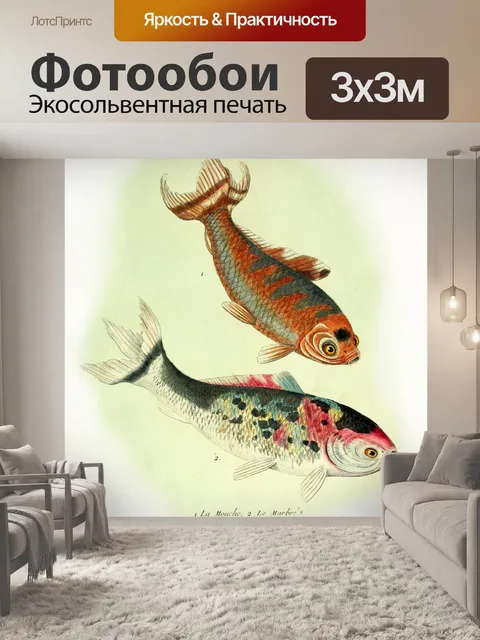 Фотообои Кои рыба винтаж старый