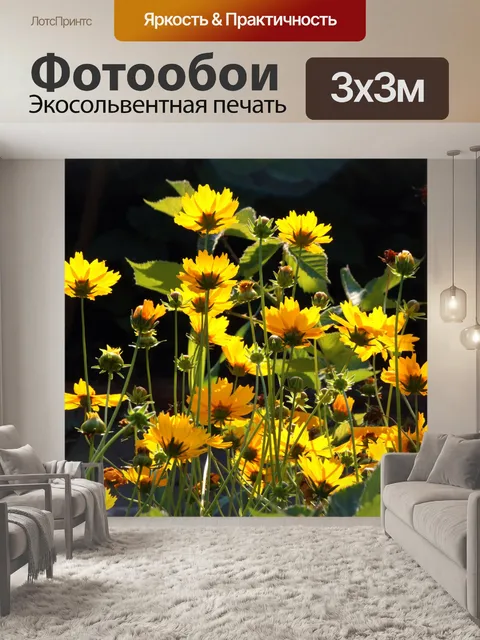 Фотообои ярко-желтые цветы клеща