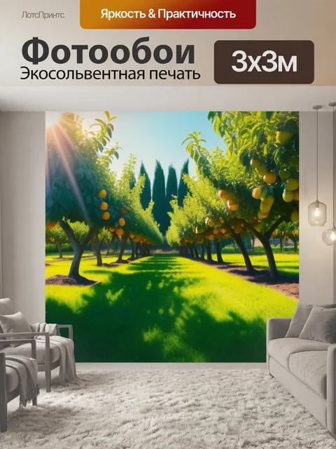 Фотообои сад с фруктовыми деревьями, освещенный солнцем