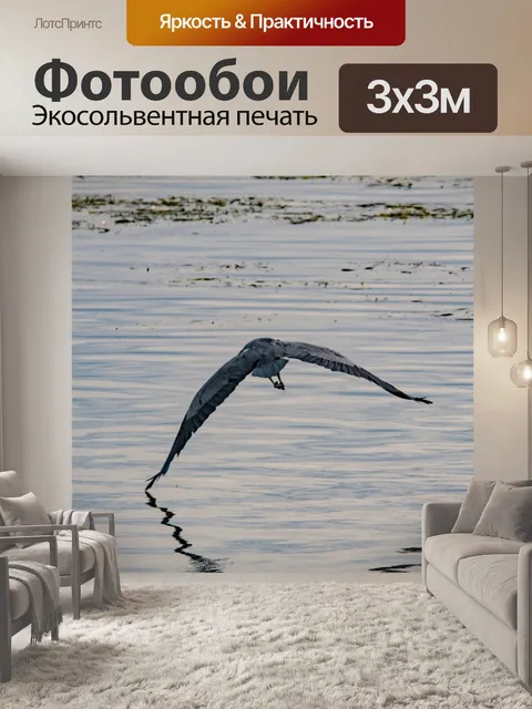 Фотообои Голубая цапля в полете