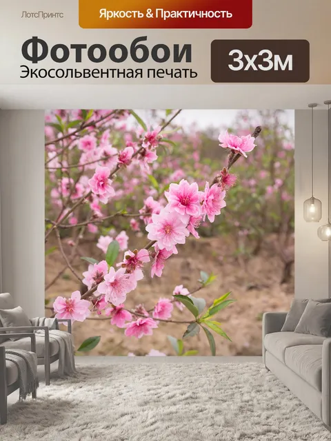 Фотообои Персик