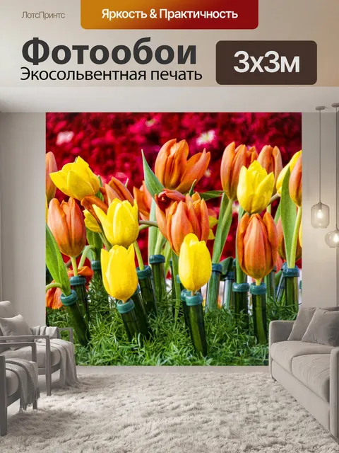 Фотообои Желтые и оранжевые тюльпаны