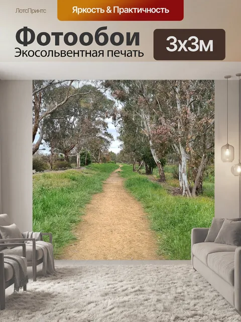 Фотообои Тащить