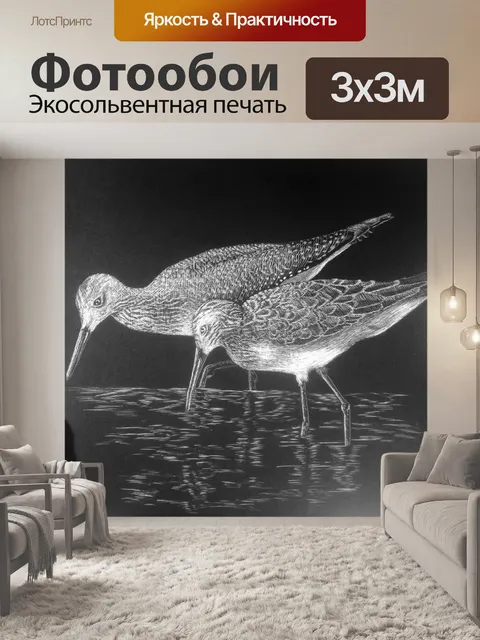 Фотообои Кулик