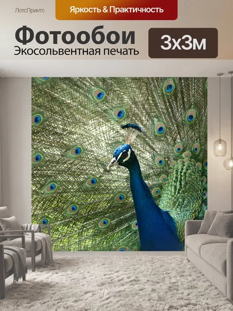 Фотообои Павлин