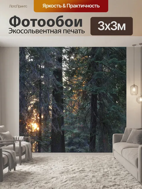 Фотообои Лес